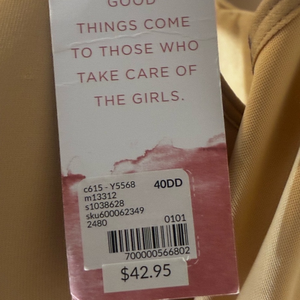 Cacique 40DD Seamless Tan Bra NWT - Picture 4 of 4